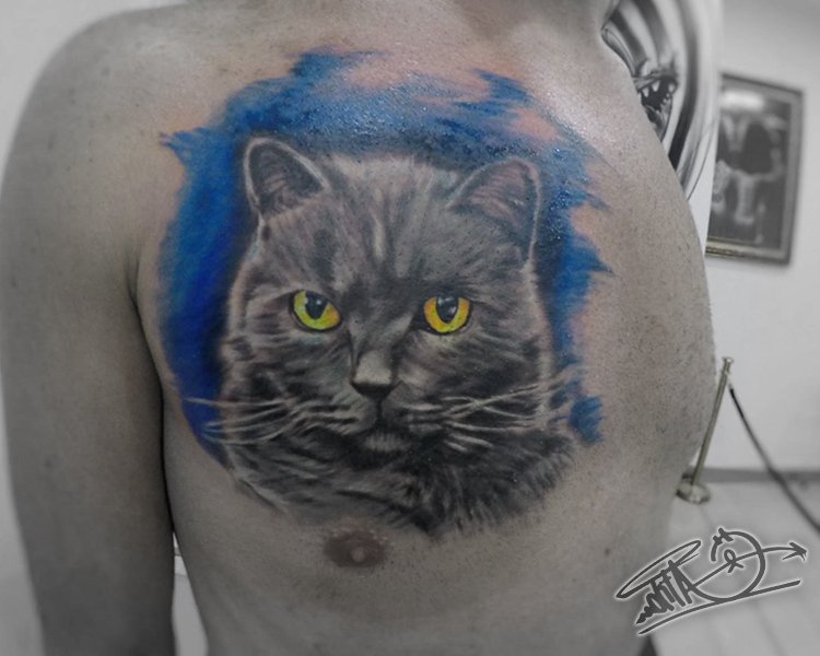 British Shorthair